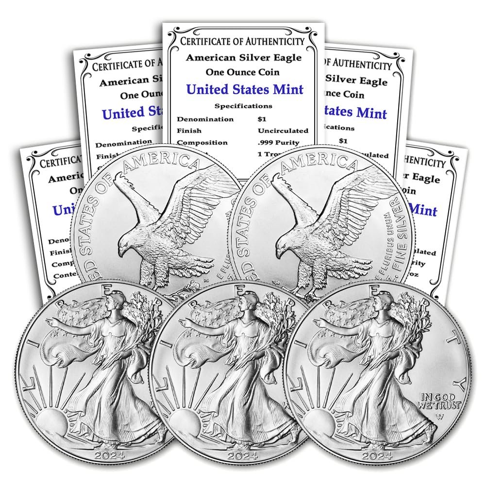 Shining Investment: 2024 American Silver Eagle Coins Review
